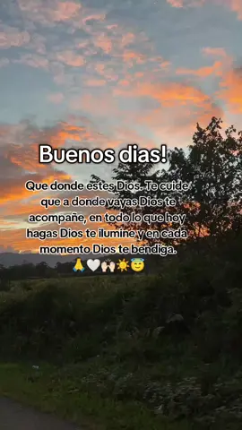Buenos días que tengan un excelente domingo y que la bendición de Dios more con cada uno de ustedes, Dios les bendiga 🙏.#buenosdias #excelentedomingo #dioslesbendiga 