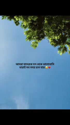 আমরা যাদেরকে মন থেকে ভালোবাসি তারাই সব সময় চলে যায়!😅💔 #foryou #banglacaption #sadcaption #emotionalvideo #fyp 