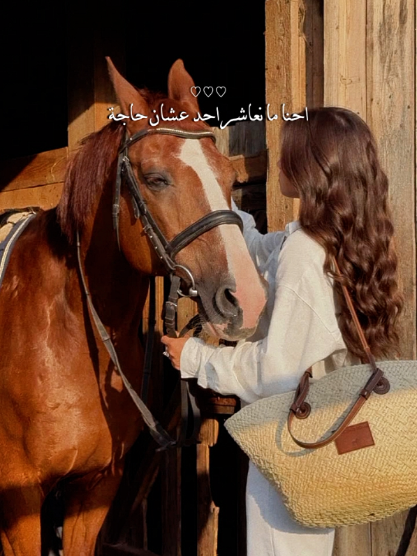 #خيل_وخياله🐎 #تصميم_فيديوهات🎶🎤🎬 #خيل_عربي #فروسية #تصميم #خيل 