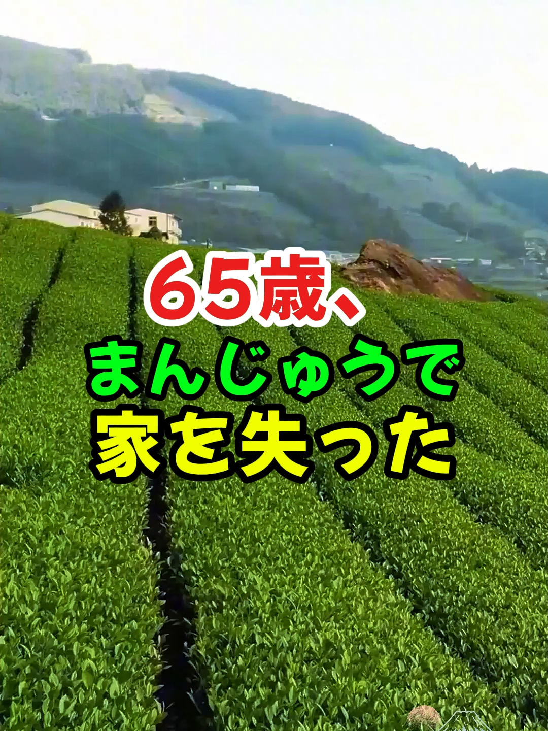 65歳、まんじゅうで家を失った. ...#2ch#人生#スカッとする話#ドラマ#感動#悲劇#復讐#修羅場#movie#shorts