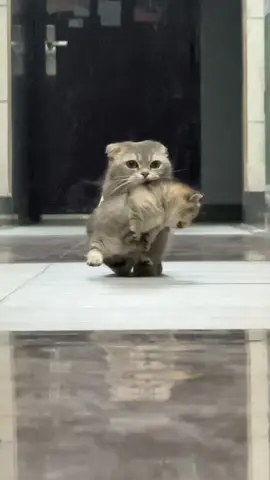 快回家吃饭了