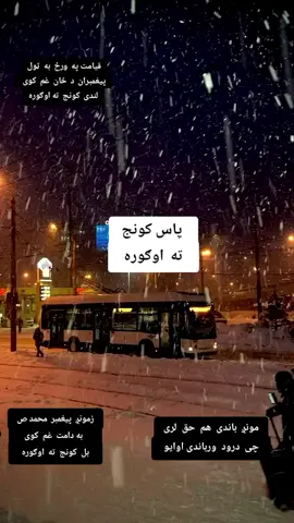 #kohat 