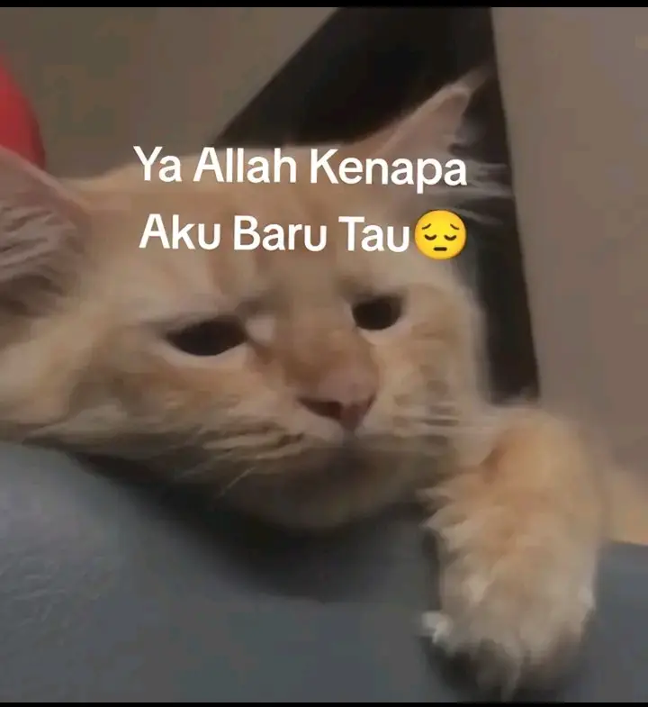 #bismillahfypシ#fyppppppppppppppppppppppp  #allah❤️#rasulullah_saw 