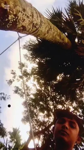 এটা কুয়া কেদার কক্সবাজার না এটা আমগো ভোলা মনপুরা মেঘনা নদী আসো একদিন ঘুরে ঘুরে যাও কোনোরম পরিবেশ ভাল লাগলে থাকবা না ভাল লাগলে যাবে#সাপোর্ট_🥰করলে_সাপোর্ট😋_পাবে @আমি নিলয় 🫶 