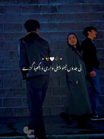 Ni jdon tainu pehli vari dekheya kude🤍🥀 #foryou #viral #deepfeelings 