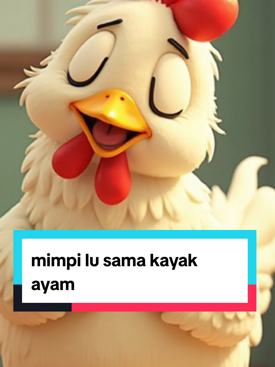 🐔💤 