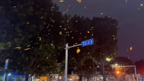 Hà Nội vào thu 🍁🍂                                          #thuhanoi #muathu #hanoi #mualarung #viral