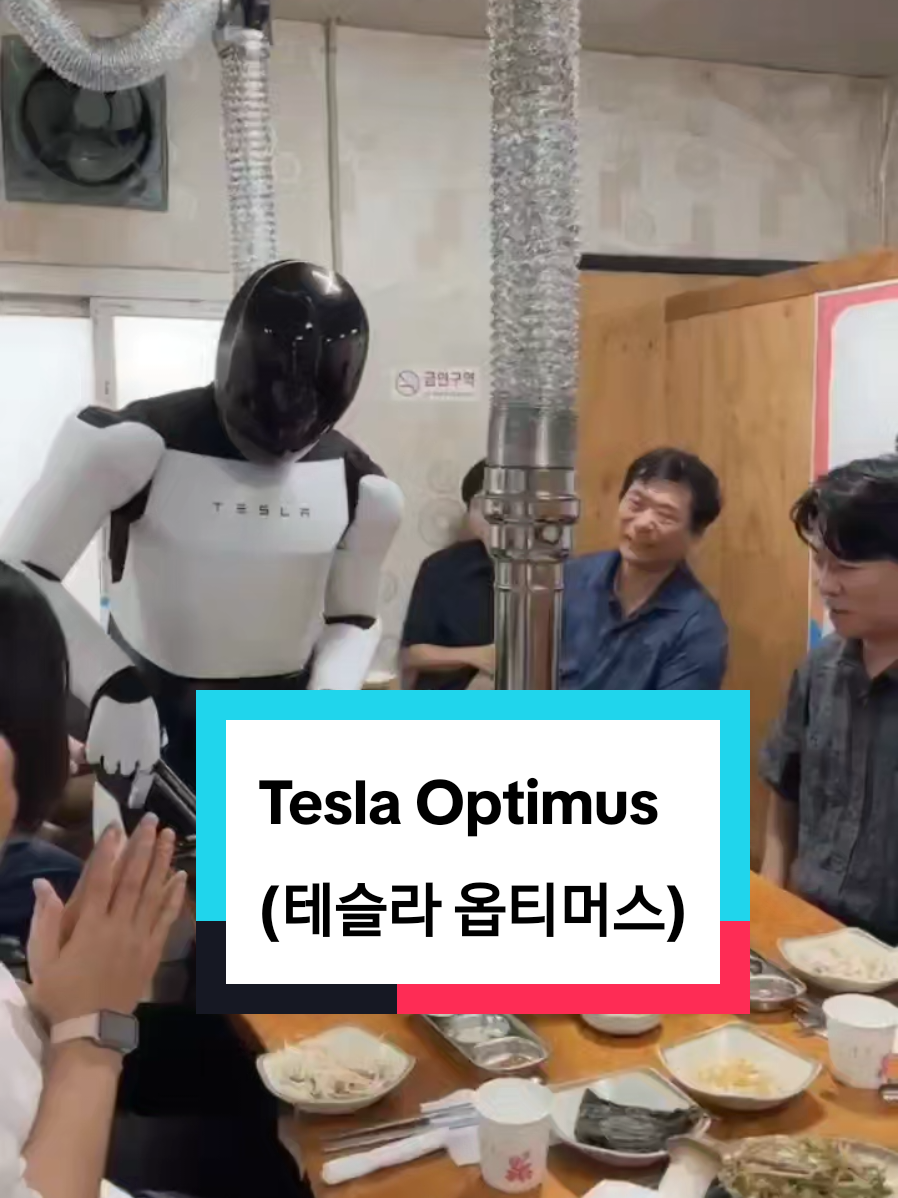 Tesla Optimus (테슬라 옵티머스)