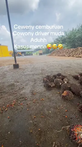 Kasuss bangett🤣