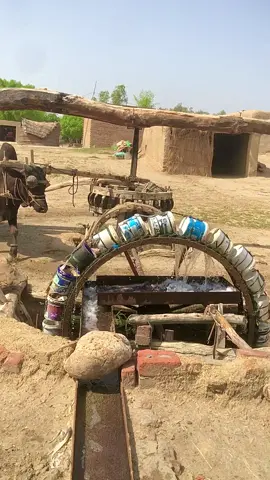 #Old Amazing water lifting irrigation system in Punjab in Pakistan #OLD #trendingshorts #shortsfeed #viralshorts 