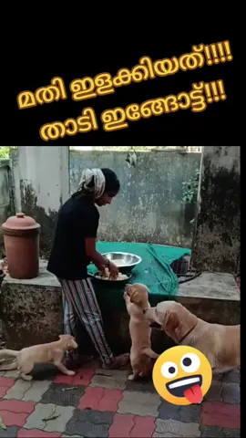 #kottayamkari #malayalipoliyalle #blogger #blog 