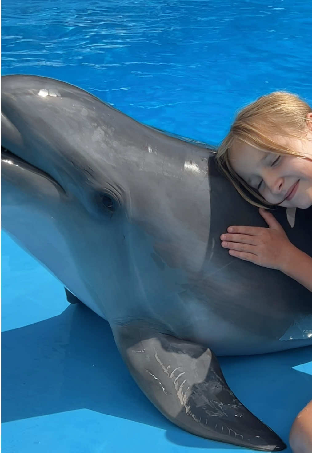 Всього кілька секунд — і ви закохані назавжди 🐬💙 Приходьте перевірити!   #дельфін #дельфінотерапія  #nemo #ocean #sealife #dolphin #holiday #vacations #відпочинок #море #animals #cute #smile #fun 