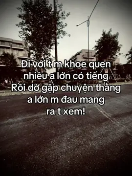 Đi với t m khoe quen nhiều a lớn có tiếng Rồi dờ gặp chuyện thằng a lớn m đầu mang ra t xem!#thanhlam682007 #duet #viỉal 