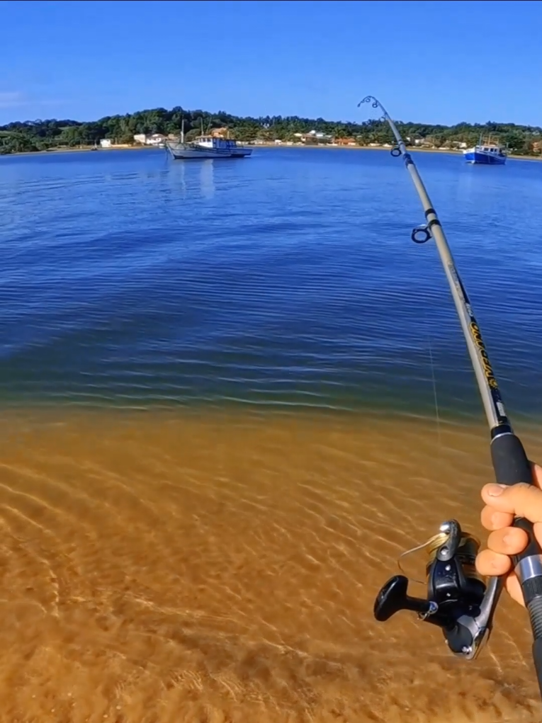 aqui e uma atras da outra so gigante na ponta da linha  #pescaria #praias #brunomadimbu #praiasbrasileiras #surfcasting 