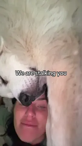 I’m stalking you