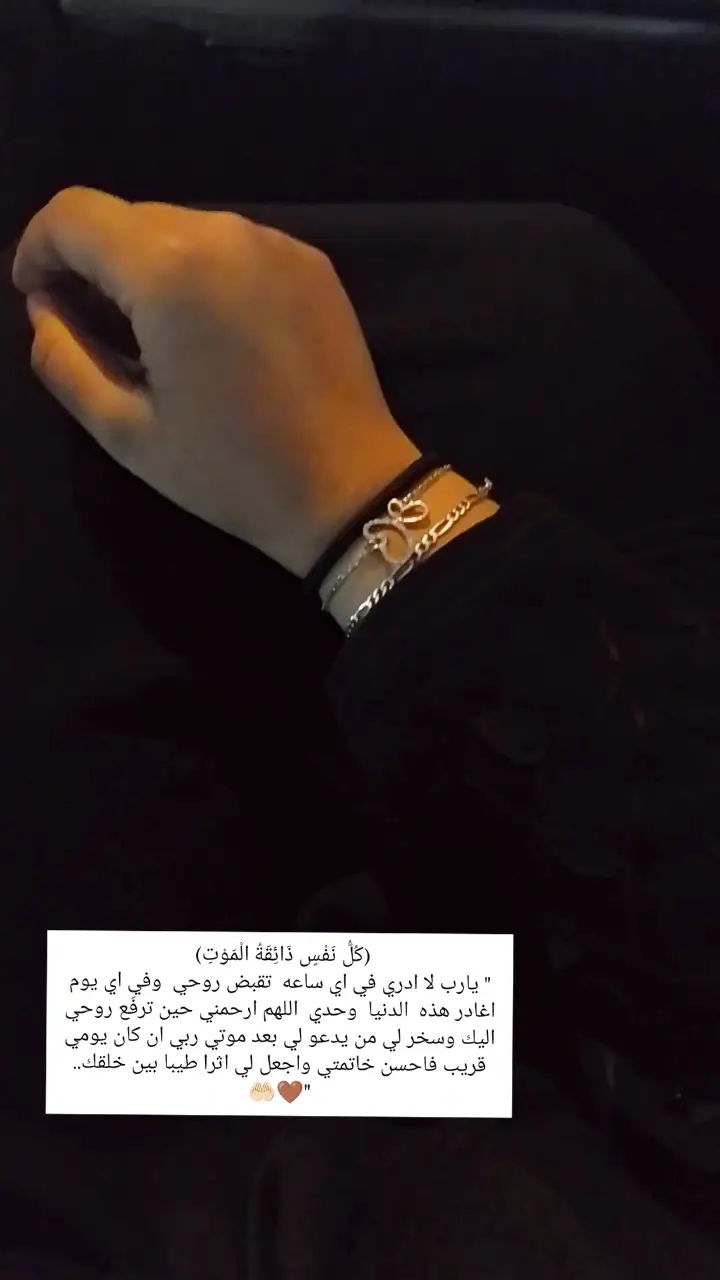 (كُلُّ نَفْسٍ ذَائِقَةُ الْمَوْتِ)   #🥹🖤#علي_المياحي #ولسوف_يعطيك_ربك_فترضى🌺 #شعب_الصيني_ماله_حل😂😂 