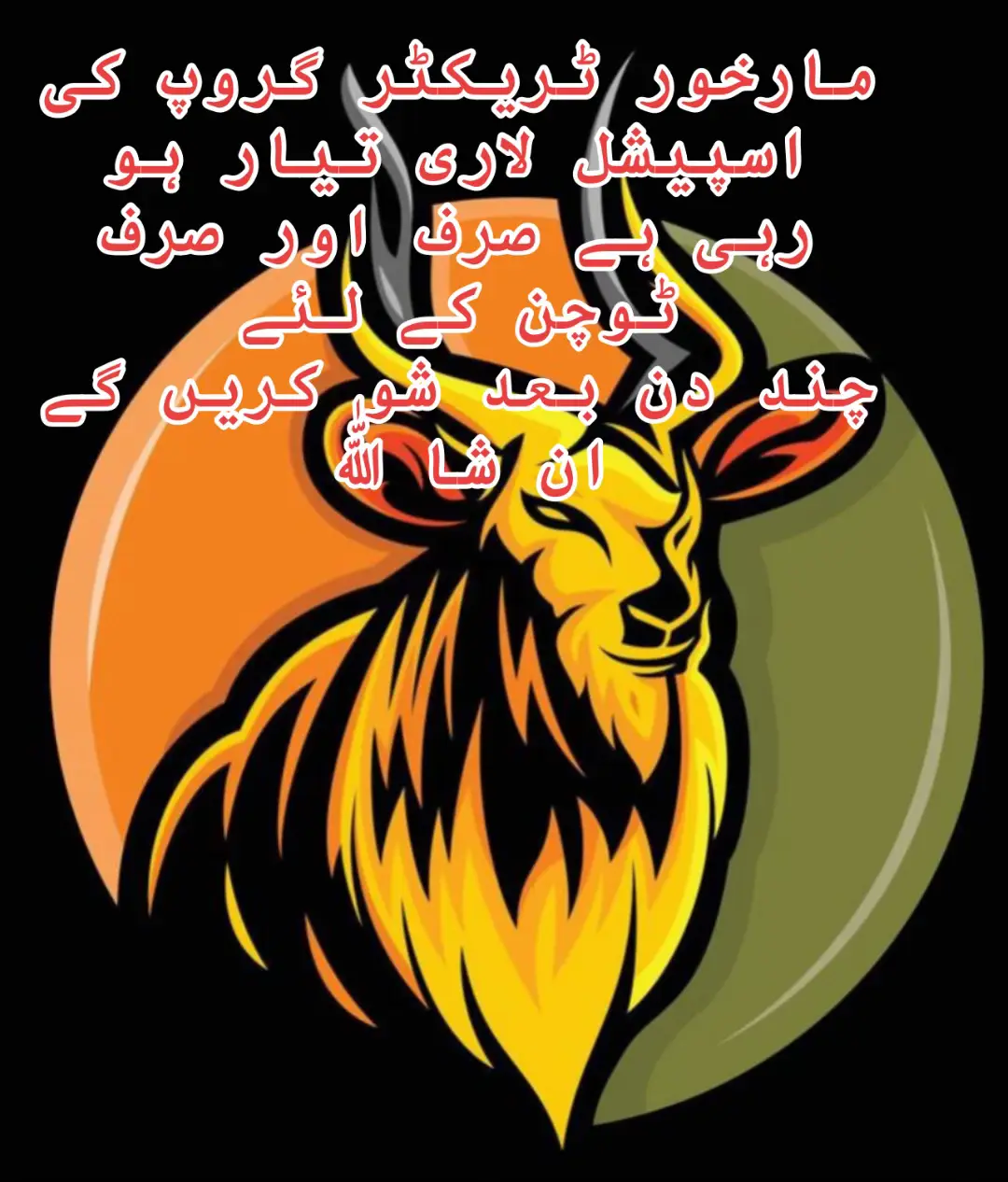 #fyp #foryou #announcement #tochan #show #announcement @Markhor Champion tractor group @شاہدگوندل منڈی آلہ520🚜 @انس گوندل دتوانہ 🍁✨ @گوندل ٹریکٹر گروپ بھکھی شریف😎 @MohsinGondal776 @نصرجواد تارڑ 