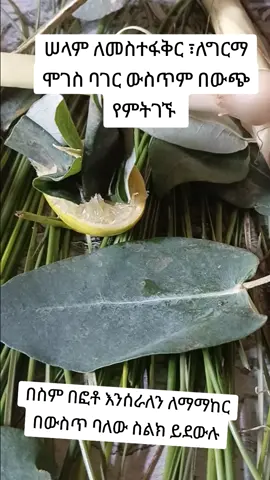 #🌿🌴መርጌ ሞገስየባህል ህክምና ፈውስ እና ጥበብ ይ በውጭ ሀገር ለሚኖሩም መምጣት ሳያስፈልግ ባሉበት እንሰራለን  ☎️ 0947591718 የምንሰጣቸው የጥበብ አገልግሎቶች ከዚህ በታች ተዘርዝረዋል 1🌿🌴 ለመፍትሄ ሀብት 2🌿🌴 ለህማም 3🌿🌴 ለመስተፋቅር 4🌿🌴 ቡዳ ለበላው 5🌿🌴 ለገበያ 6🌿🌴 የዛር ውላጅ ለተዋረሰው 7🌿🌴 ነገረ ሚስጥራት(ሚስጥር የሚነግር) 8🌿🌴 ነገረ ራዕይ(ራዕይ የሚያሳይ) 9🌿🌴 ለዓቃቤ ርዕስ 10🌿🌴 ለመክስት 11🌿🌴 ለቀለም(ለትምህርት) 12🌿🌴 ሰላቢ የማያስጠጋ 13🌿🌴 ለመፍትሔ ስራይ 14🌿🌴 ጋኔን ለያዘው ሰው 15🌿🌴 ለሁሉ ሠናይ 16🌿🌴 ለቁራኛ 17🌿🌴 ለአምፅኦ ብእሲት(ፍቅረኛ ላጣ ወይም ላጣች የሚሰራ) 18🌿🌴 ለመድፍነ ፀር 19🌿🌴 ሌባ የማያስነካ 20🌿🌴 ለበረከት 21🌿🌴 ለከብት መስተሐድር(ከብት እንደረይጠፋ) 22🌿🌴 ልሳነ መባ 23🌿🌴 ለጠላት (ጠላት እንዳይጎዳ የሚያደርግ) 24🌿🌴 ለግርማ ሞገስ 25🌿🌴 መርበቡተ ሰለሞን 26🌿🌴 ለዓይነ ጥላ 27🌿🌴 ምስሐበ ንዋይ ወምስሐበ ሰብእ 28🌿🌴 ለሁሉ መስተፋቅር 29🌿🌴 ጸሎተ ዕለታት 30🌿🌴 ለታሰረ ሰው እነዲፈታ የሚያደርግ 31🌿🌴 ለእጅ ስራ (እንዲቀናህ) 32🌿🌴 ለትዳር የሚሆን የኮከብ ቆጠራ 33🌿🌴 ለድምፅ  34🌿🌴 ለብልት  35🌿🌴 በውጭ ሀገር ለሚኖሩ ሰወች ደግሞ ከምንሰራቸው ስራዎች በጥቂቱ                          ከሀገር ውጪ ለሚኖሩ  1🌿🌴የመኖሪያ ፍቃድ ላላገኙ ሙሉ ስማቸውን ብቻ በመላክ በምንሰራው ስራ በጥቂት ቀናት መፍትሄ እንሰጣለን ለዚህም ብዙ ምቅክሮች አሉ 2.🌿🌴 ከሀገር ውጪ ሆነ በሀገር ውስጥ የስራ እድል ላጡ 3.🌿🌴 ንግድ ጀምረው[ሱቅ ከፍተው] አልሳካ ላላቸው  4.🌿🌴 ገንዘብ ለሚያባክኑ ገንዘብ አልበረክት ላላቸው 5.🌿🌴 ሰውፊት መቆም መናገር ለሚፈሩ በጥቂት ጊዜ ውስጥ በምንሰራው ሰራ ደፋርና በራስ የመተማመን ችሎታ እንዲኖሮት እናደርጋለን 6.🌿🌴 ለሀብት ለገንዘብ ለንብረት ሚሆንም አለን 7.🌿🌴 ለስንፈተ ወሲብ መፍትሄ  የረጅም አመት ልምድ አለን ለውጪ ሀገር ለሚኖሩትም እየሰራን ነው 8.🌿🌴 ፍቅረኛ አልያዝ ላላቸውም አለን 9.🌿🌴 ትምህርት አልገባ ላለው ቶሎ የመርሳት ችግር ላለበት በሚደገም እና በሚነበብ ፅሁፍ ብቻ እጅግ በጣም ልዩ የሆነ ስራ እንሰራለን 10.🌿🌴 መስተፋቅርም አለን ፣የህዝብ መስተፋቅር  11.🌿🌴 ከሀገር መውጣት እየፈለጉ ላልተሳካላቸውም ወደኛ ቢመጡ እንሰራሎታለን ባጠቃላይ እነዚህ የገለፅናቸው ጥቂቶቹ ናቸው እርሶ ምን እንድንሰራሎት ይፈልጋሉ ?በውስጥ መስመር ያማክሩን ። ከሀገር ውጪ ላላችውም መፍትሄ በልዩ ሁኔታ አለን ብቻ ይምጡ ያማክሩን ያስተውሉ እኛ ምንሰራው በጥንታዊው ከአባቶቻችን በተማርነው ጥበብ ብራናውን አንብበን እፅዋትን ቀጥፈን አዘጋጅተን ነውና ሀገራችን ካሏት ጥበብ ጥቂቱ ነው እንኳን ለነዚህ እና አባቶቻችን በደመና ይሄዱ አልነበር እፀመሰውር ሰርተው እራሳቸውን ይደብቁ አልነበር ይሄ ጥበብ ንቀን ፈረንጅ አምላኪ ሆነን ነው እንጂ ጥበቡ አሁንም አለ ይምጡ ያማክሩን ። ለምንኛውም ጥያቄ እንዲሁም ለመነጋገር  በስልክ ቁጥራችን  ☎️0947591718 ☎️0947591718መደወል ይችላሉ