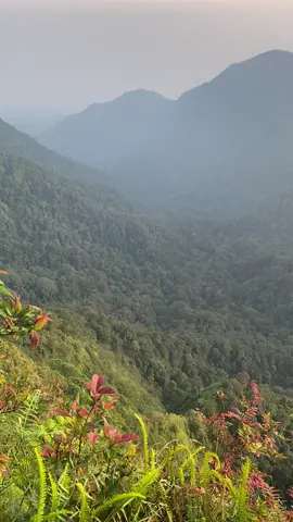 Gunung burangrang Sabtu-9-8-2025 ⛰️💥☁️ #gunungburangrang  #gunungjawabarat 