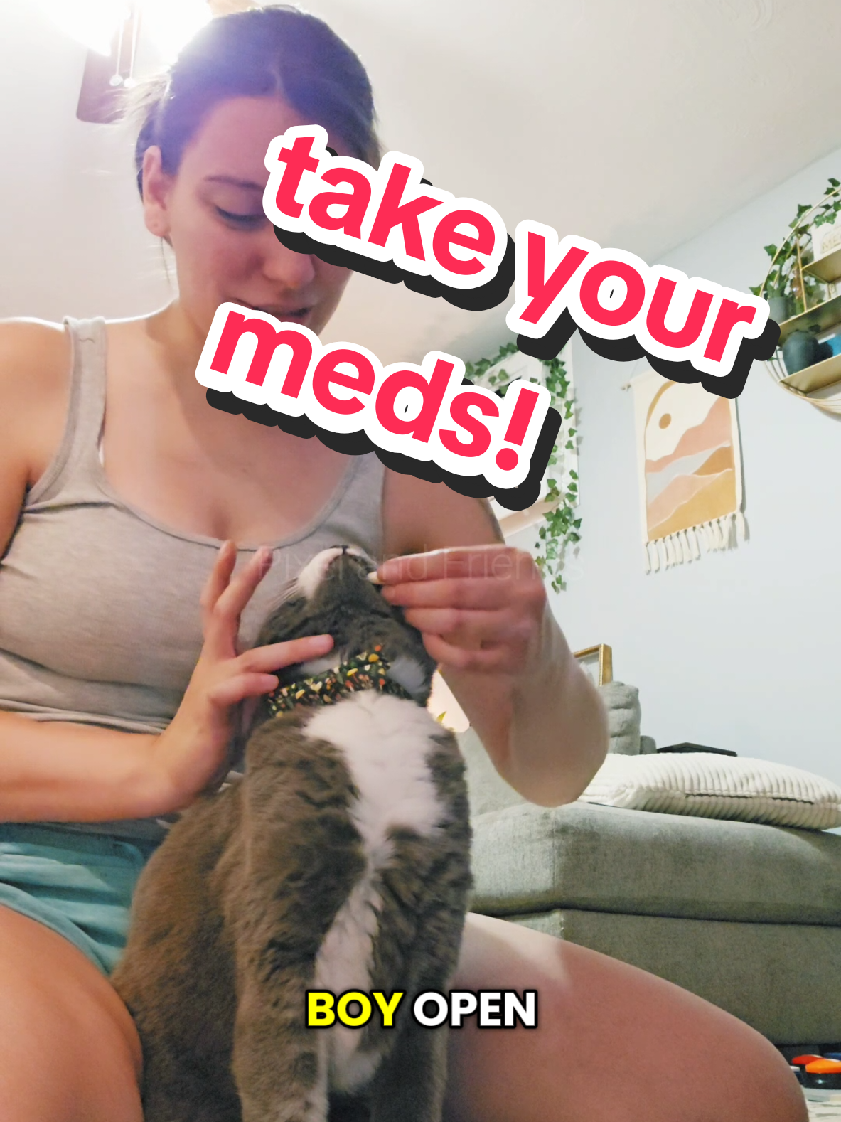Take your medicine! #pilltime #cooperativecare #fearfree #training #cat 