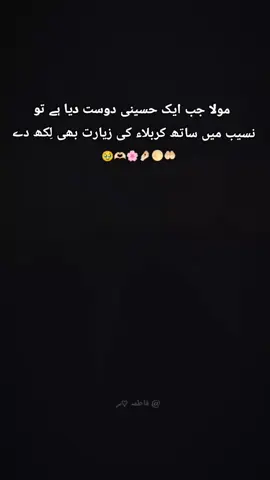 ONE DAY INSHLLAH BESTIE @زھرا ♡ރ 🤲🏻🌕🤌🏻🌸🥹🫂😭💞#foryou #shiastatus  #hussani#shiastatus #🙂‍↕️🚩 