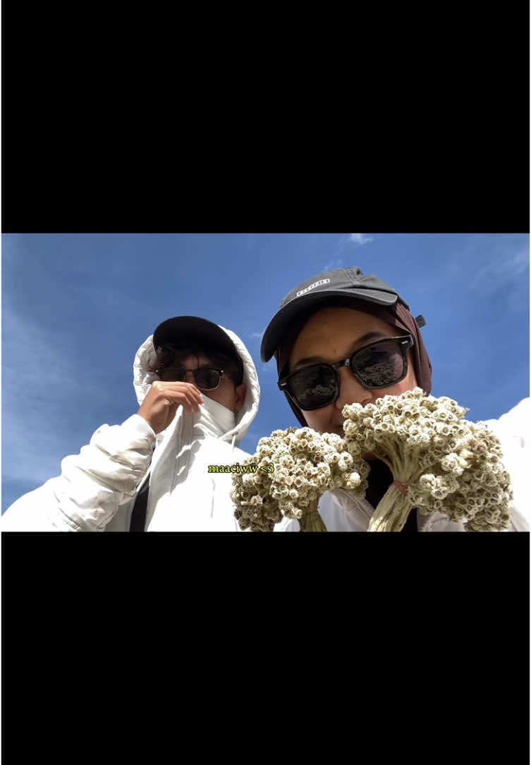 finally, ke bromo dengan seseorang yang aku definisikan sebagai “everything you are” 🫶  #hindia #everithingyouare  #bromo #bromotenggersemeru 