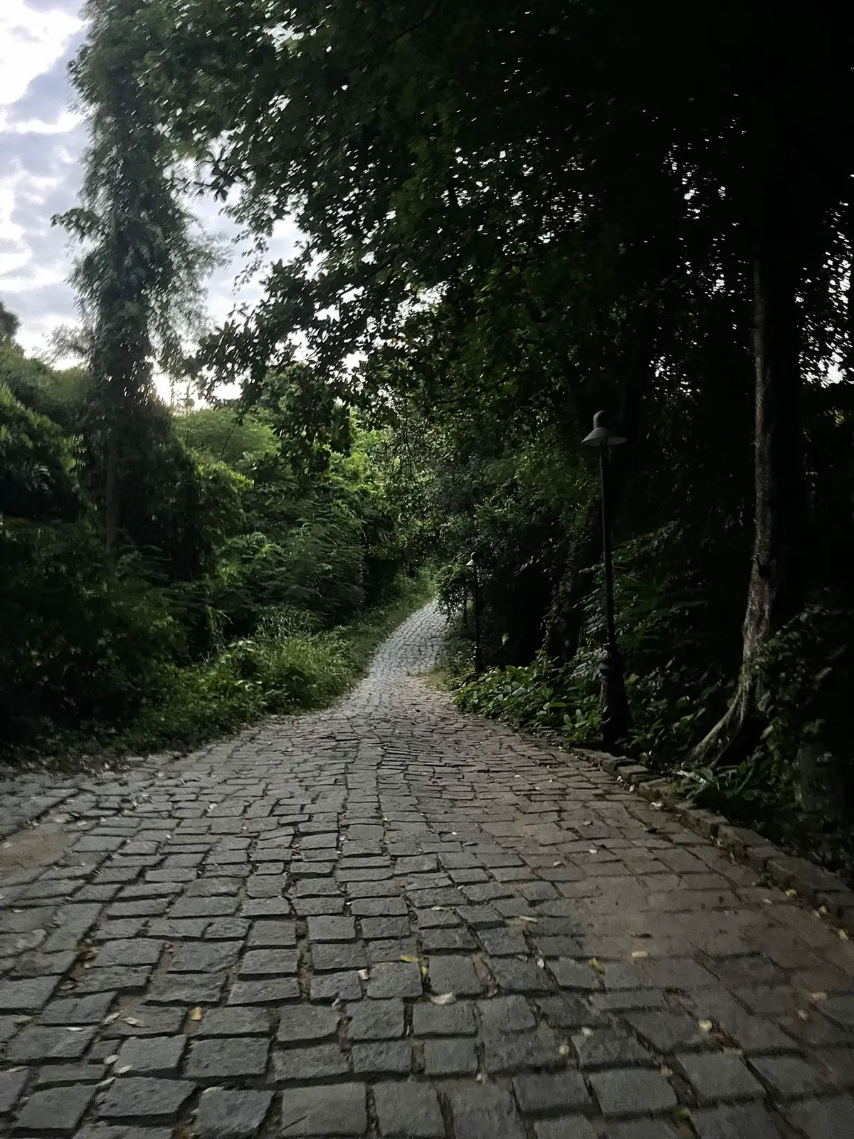 #leonuibadentayninh #trekking #xuhuong 