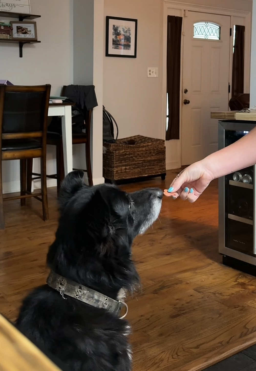 Max’s fav treat 