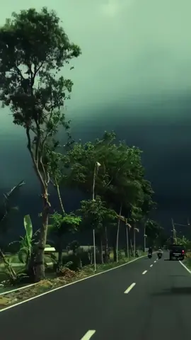 Some people are naturally fond of this atmosphere ..#HealingScenery #WindandFreedom #HealingSeries #TravelPlayer 