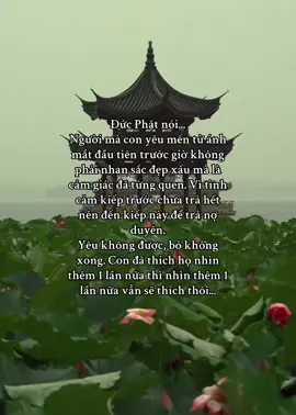 Yêu không được, bỏ không xong. #phatphapnhiemmau #loiphatday #viraltiktok #phatphapvobien #xh 