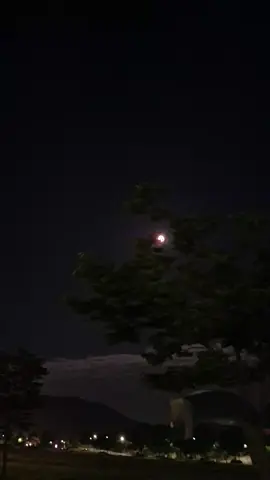 행복한 꿈 꾸세요.#밤풍경#달#보름달# 달구경#야경#힐링#자연
