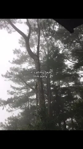 sorry.. #fypシ #makeitviral #fyppppppppppppppppppppppp #epwaypimototiktok #sadcontent #greatestpain 
