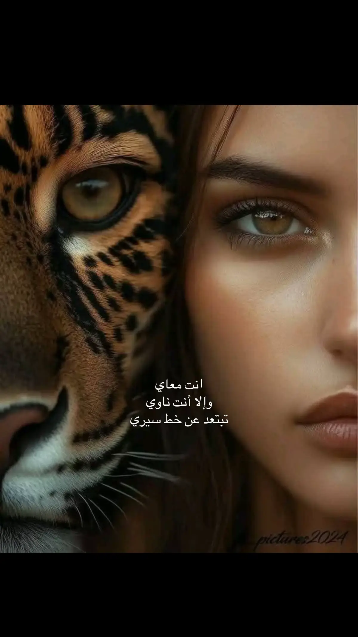 #فوريو_foryou #cat #fypシ゚ #اكسبلورexplore #