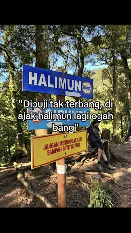 CUKUPP SEKALIIIII #halimunciputri #puncakhalimun #puncakciputri1491mdpl #fy #peletbento⛰️ 