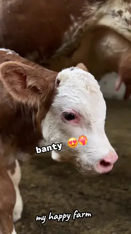 ❤️‍🔥😍🥰
