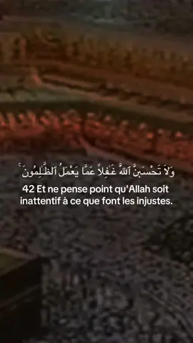 Sourate Ibrahim (Abraham) versets 42-45 🎙️Sheikh Sudais #coran #pourtoi #quran #fyp #shuraim 