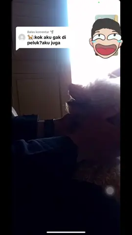 Membalas @🌪️  Semuanya salfok ke bubu😆🤣, maaf ya gys saking rindunya sama orangtua jadi bubu terhiraukan dibawah kasian tapi Tenang setelah video tadi waktunya bubu disayang” kok😝🤏