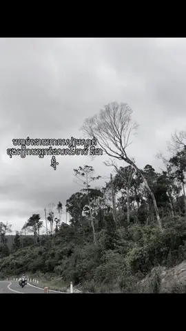 បញ្ចប់ដោយភាពស្ងៀមស្ងាត់ ចុងក្រោយអ្នកដែលឈឺចាប់ គឺជាខ្ញុំ.#fyp #foryou #foryoupage #fyppppppppppppppppppppppp 