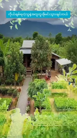 #ကိုယ်ချစ်တဲ့သူနဲ့ဘဲဘဝကိုဖျက်သန်းချင်တယ် #myanmar #creatorsearchinsights 