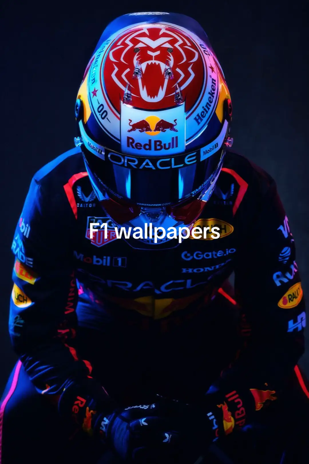 #f1 #formula1 #formula1edits #maxverstappen #lewishamilton #leclerc #senna @️ 