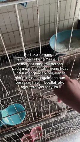 #fyp 