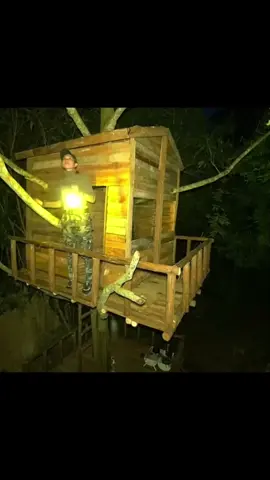 I Built a Giant Tree Bushcraft Survival Wooden House | Shelter ASMR #survival #build #adventure #shelter #forest #camp #camping 