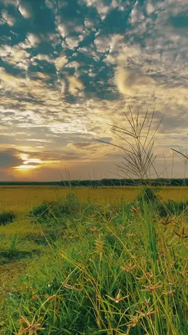 #CapCut Summer the end . #capcutradio #Summer #sky #rememberoursummer #foryou 