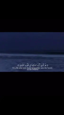 #لايك #الحمدالله #explore #اجر #سبحان_الله_وبحمده 