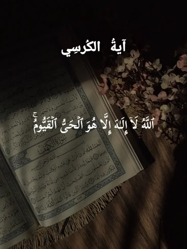 #آية_الكرسي #اجر_لي_ولك_ولمن_بعدك #قرآن #القرآن_الكريم #تلاوة_هادئة 