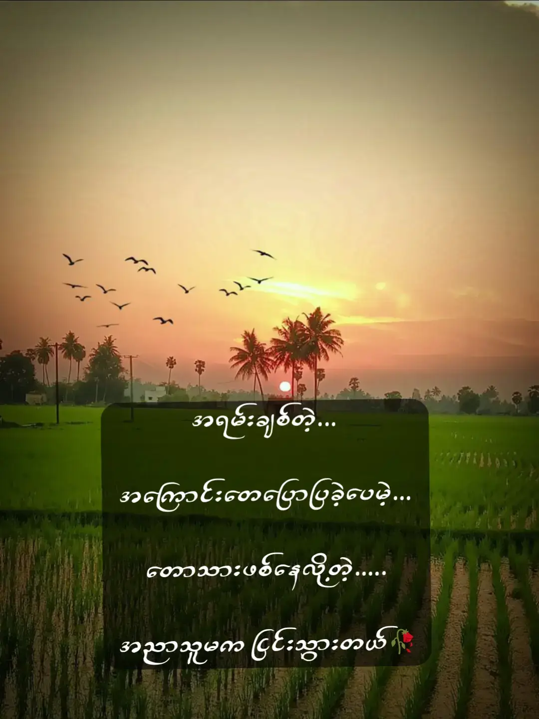 ##fyp #ယောက်ျားလေးမို့likeမရတာလား #f #fyppppppppppppppppppppppp #foryou #ညတင်ရင်viewမတက်🙂 