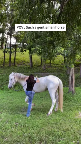 This is what unconditional love looks like 💕 #horses #horsesoftiktok #Love #fyp 