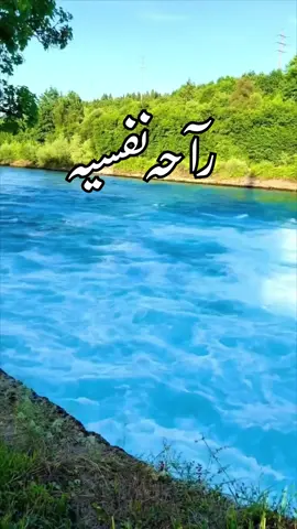 #القران_الكريم_راحه_نفسية #يسعدلي_مسائكم_ياأحلى_متابعين #قهوة_المساء_عشق_لاينتهي #☕️🇲🇨 