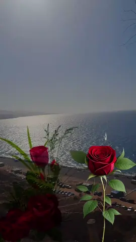 دعاء للأبناء #دعاء #دعاء_يريح_القلوب #قالب 