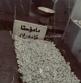 مامۆستا کامەران کەریم#اللهم_صل_على_نبينا_محمد #foryou #islam #fyp #viral 